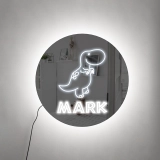 个性化定制恐龙主题幻彩RGB儿童镜面灯-创意房间氛围灯 (4)