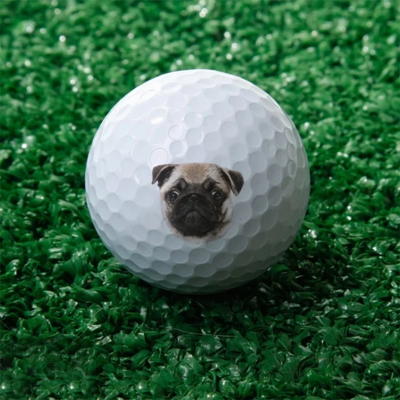 个性化定制高尔夫球套装-单面印刷,包含3个 (5) 个性化定制高尔夫球套装-单面印刷,包含3个 (5)